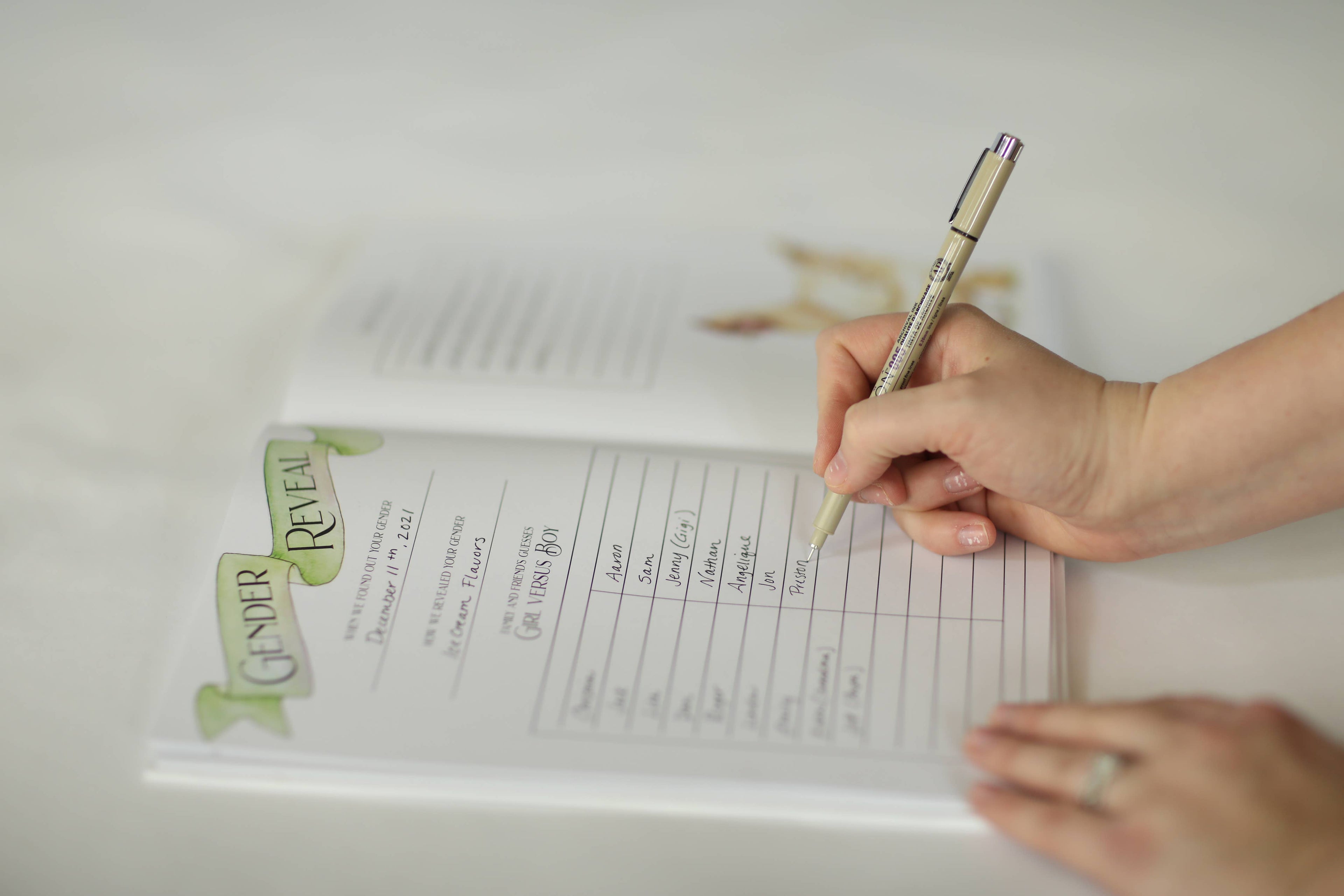 Baby Farm Memory Book
