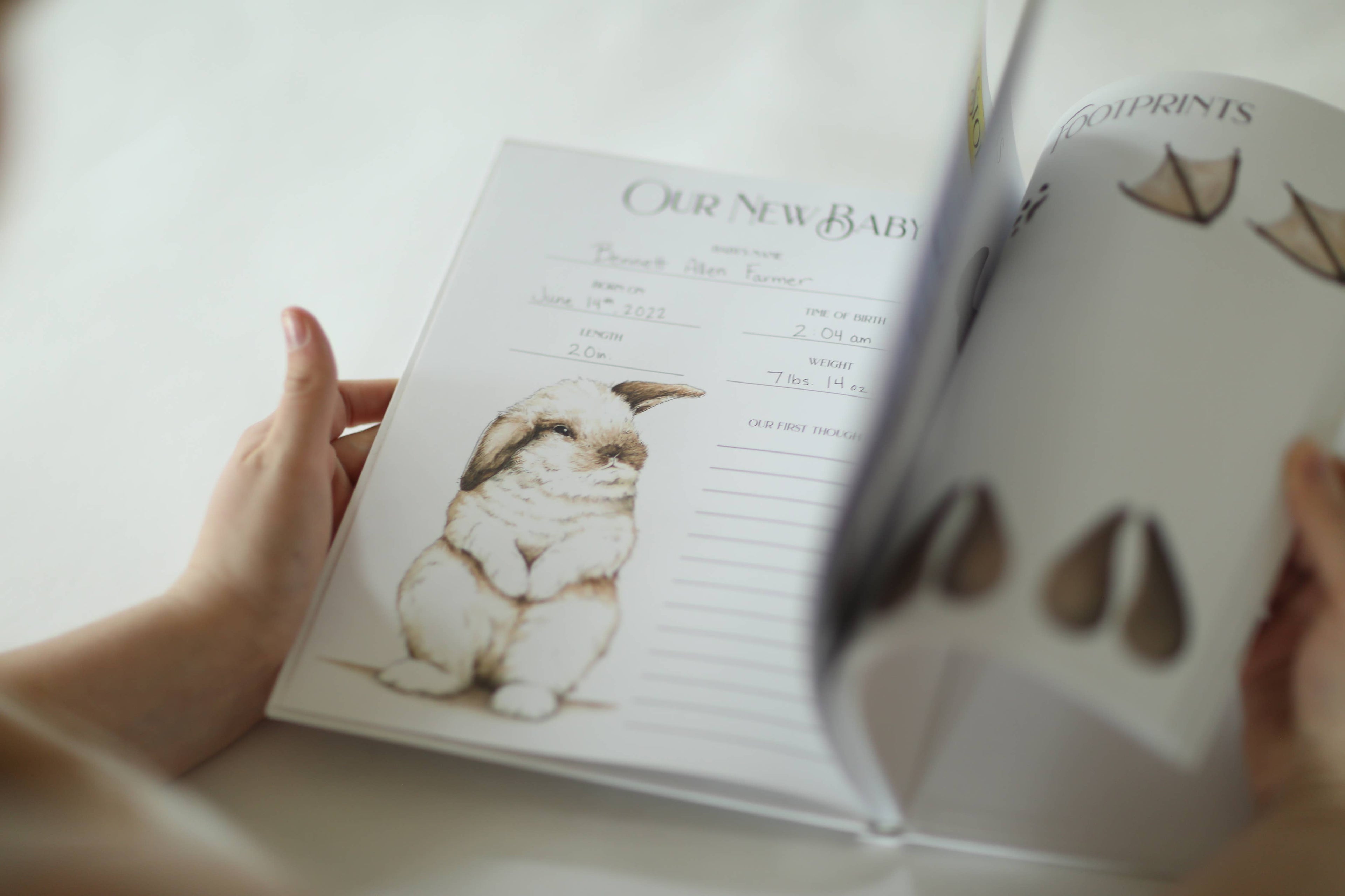 Baby Farm Memory Book